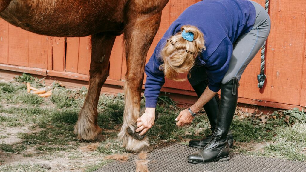 A woman grooms a brown horse in a stable, maintaining its hoof outdoors.