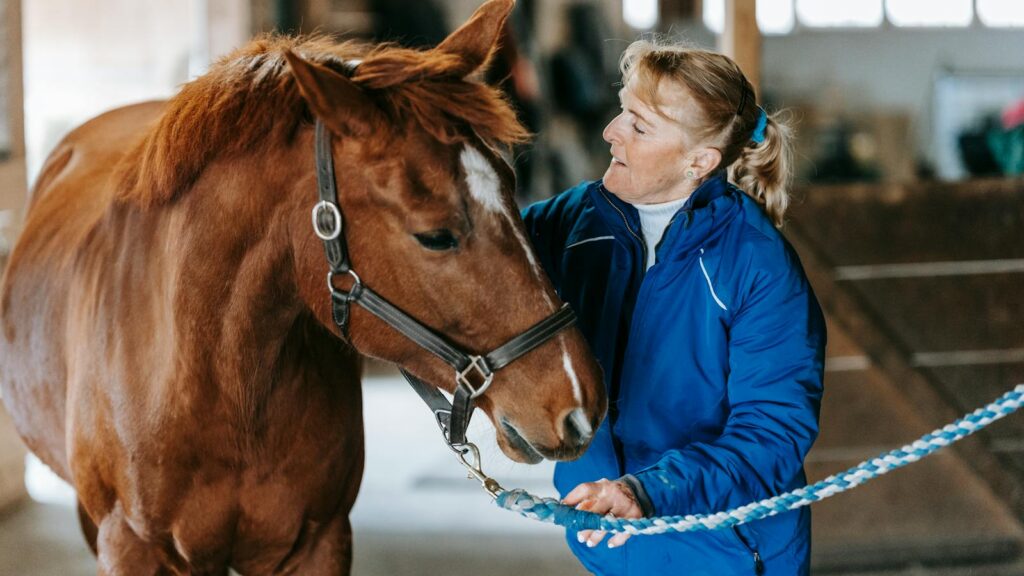 A woman in a stable gently caring for a brown horse on a winter day.