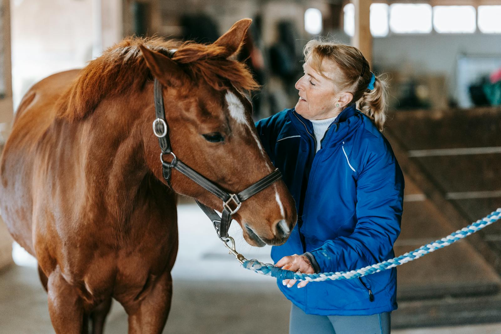 A woman in a stable gently caring for a brown horse on a winter day.