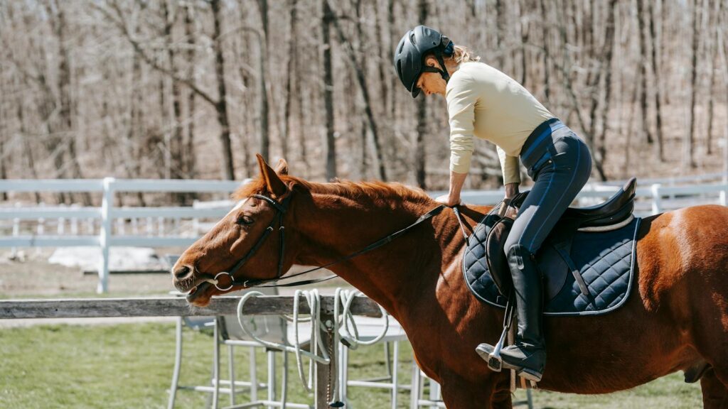 Woman riding a horse in a paddock surrounded by trees on a sunny day.
