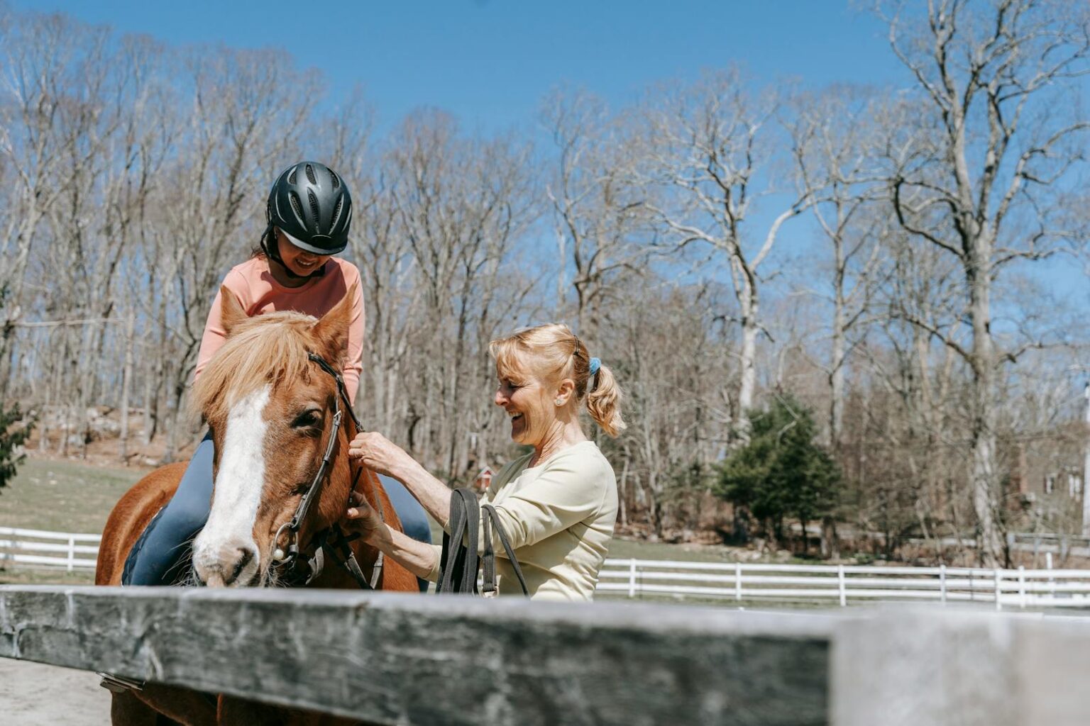 Image result for How to Calm a Horse With Separation Anxiety - saddlesociety.com