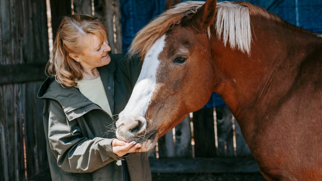 Elderly woman affectionately feeding a brown horse in a rustic outdoor setting, showcasing a gentle human-animal connection.