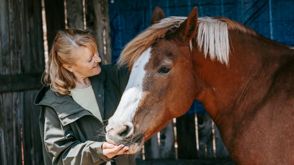 Elderly woman affectionately feeding a brown horse in a rustic outdoor setting, showcasing a gentle human-animal connection.