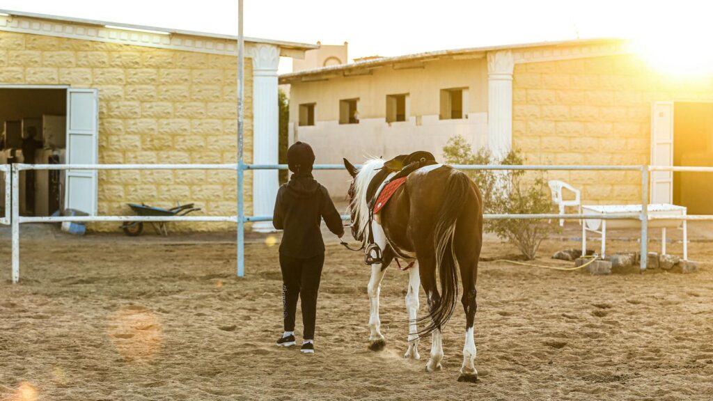 A person leads a horse at a ranch on a sunny day, showcasing the tranquil farm life.