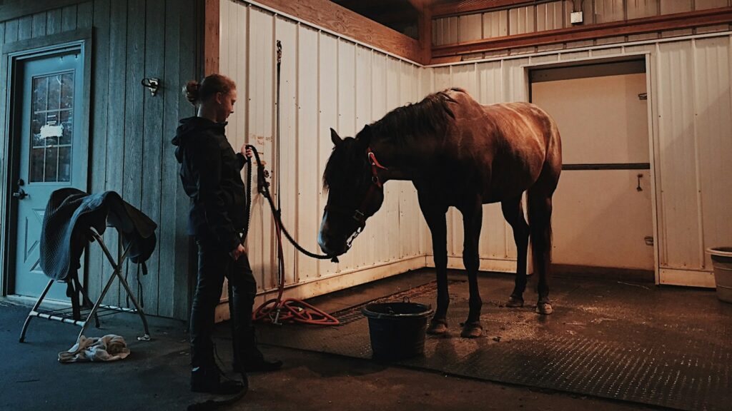 man standing in front of horse