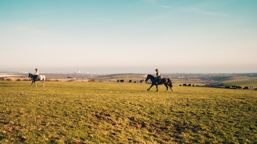 Men riding horse on green grass field during daytime