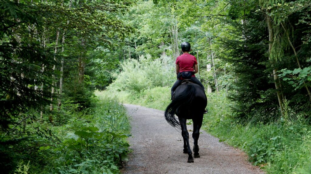 man in red jacket riding black horse on road during daytime