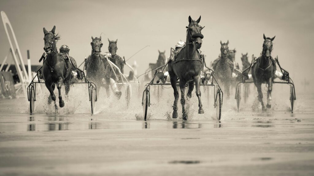 Dynamic shot of a harness horse race on a wet beach in Cuxhaven, Germany.