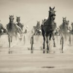 Dynamic shot of a harness horse race on a wet beach in Cuxhaven, Germany.