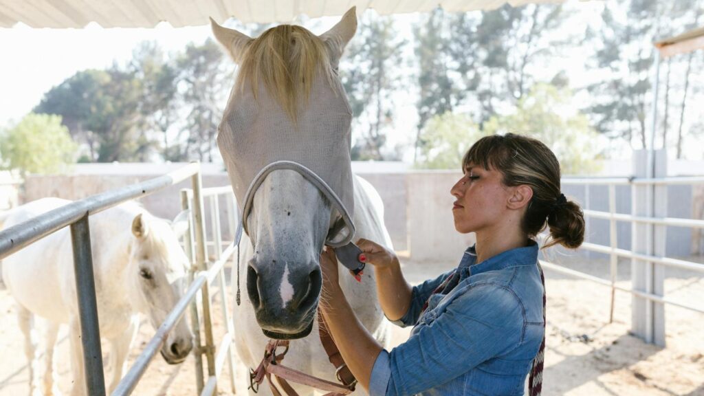 A woman wearing a denim shirt tends to a white horse with an anti-fly mask in a stable.