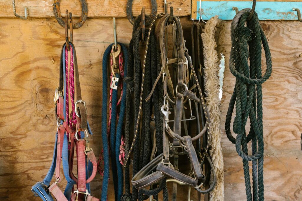 Closeup of various horse tack hanging in a stable, showing ropes and straps.