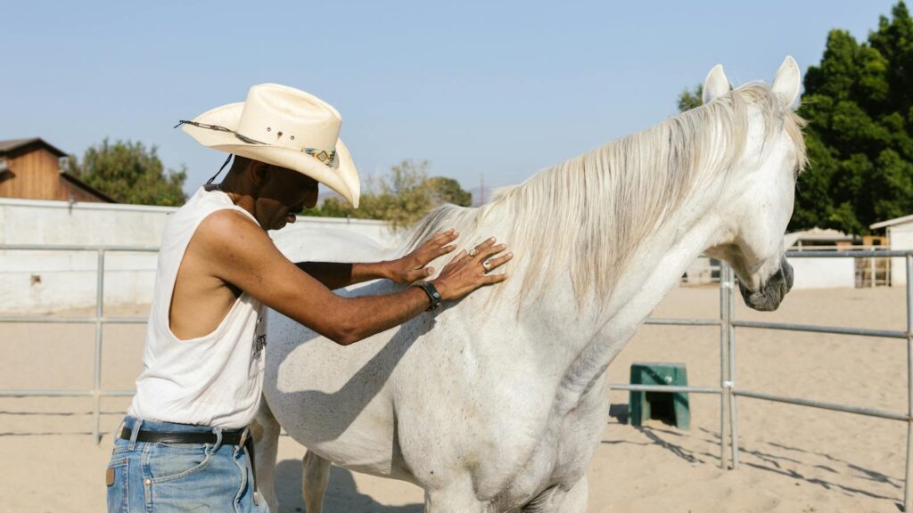 A cowboy gently cares for a white horse in an outdoor paddock under the sunny sky.