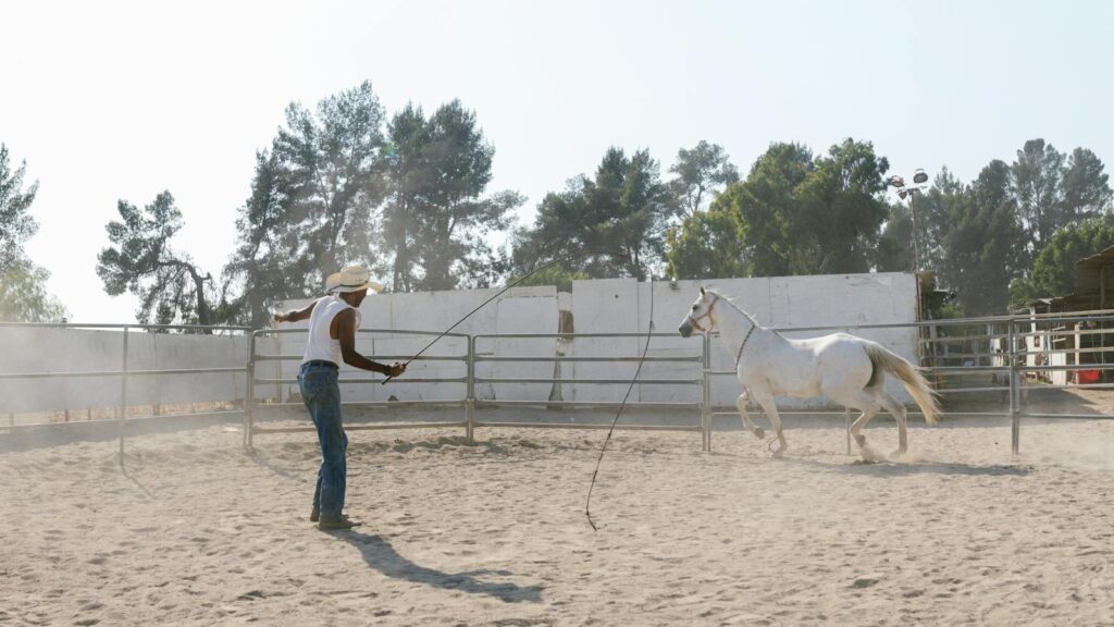 A cowboy trains a white horse in a dusty outdoor ranch, showcasing equestrian skills.