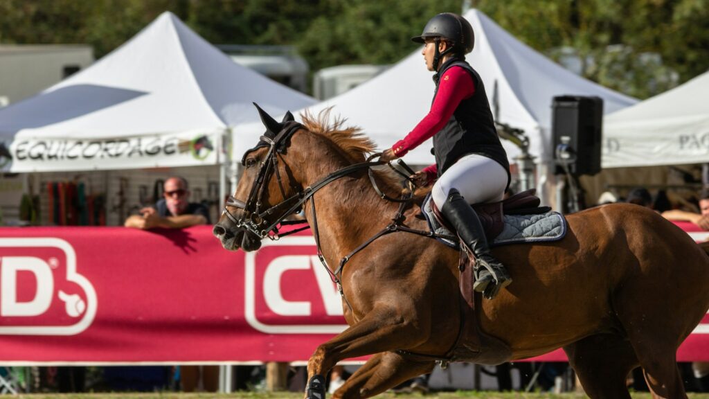 man riding brown horse during daytime