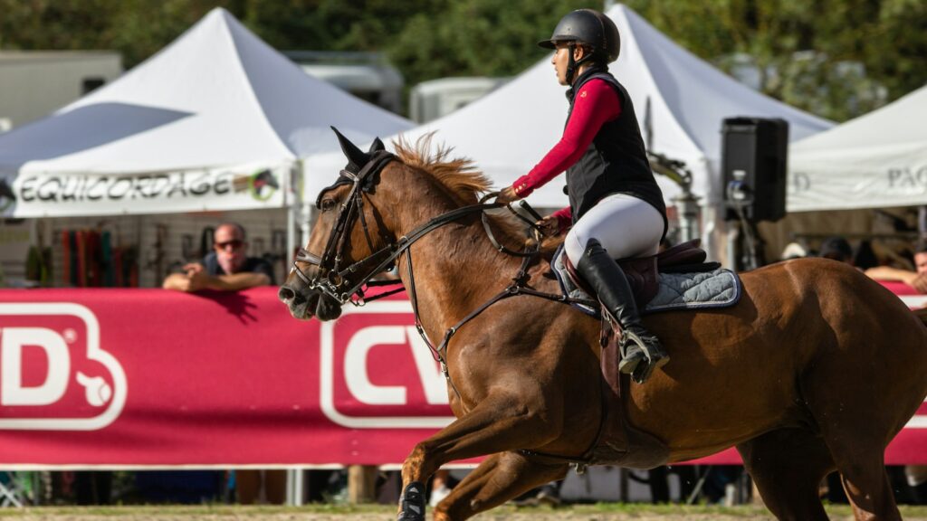 man riding brown horse during daytime