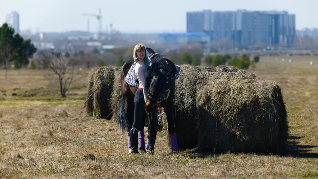 A woman stands with her horse near hay bales on a field with cityscape in the background.