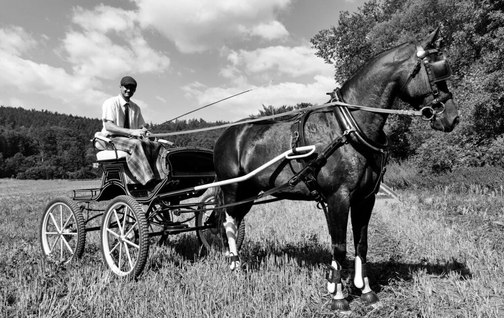 A man riding a horse-drawn carriage in a grassy field, depicted in black and white.