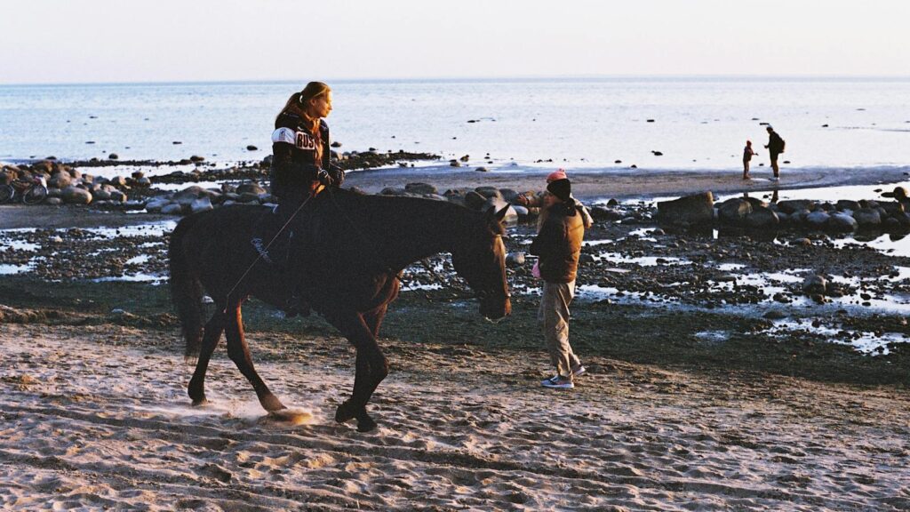Woman riding a horse on a sandy beach in St. Petersburg with sunset light reflecting on the water.