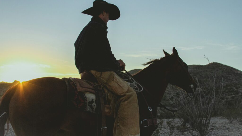 a man riding on the back of a brown horse