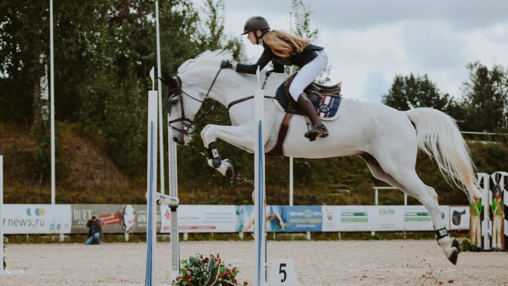 man riding white horse during daytime