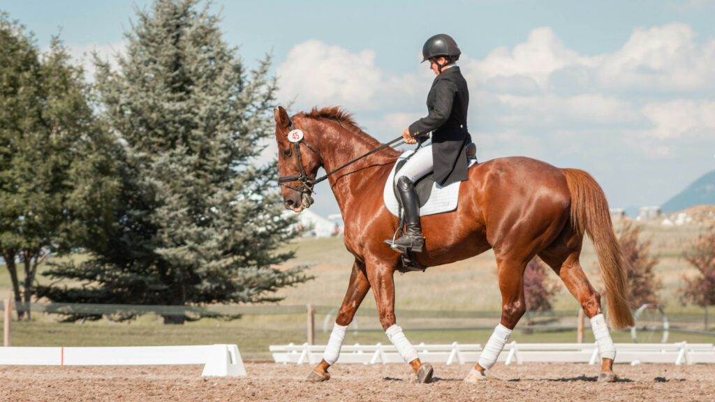 man in black helmet riding brown horse during daytime
