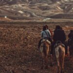 woman riding horse during daytime