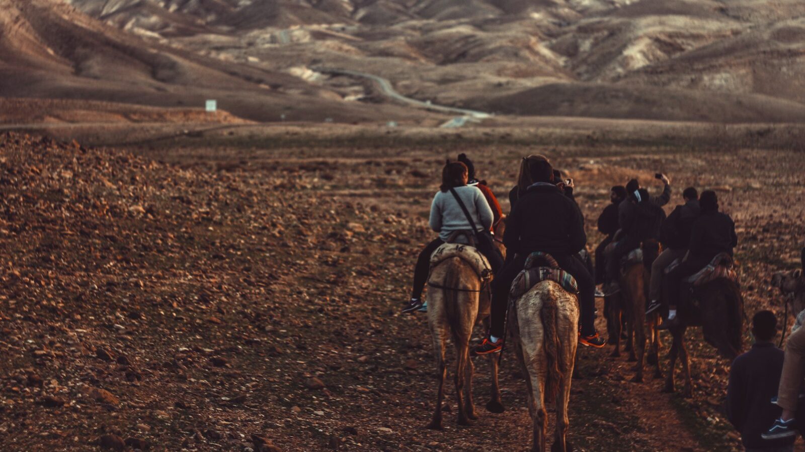 woman riding horse during daytime