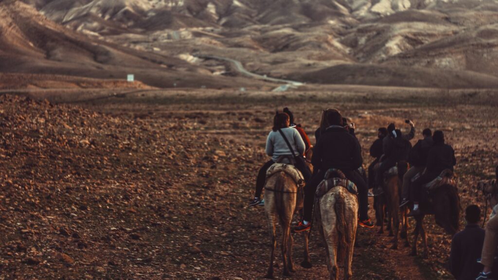 woman riding horse during daytime