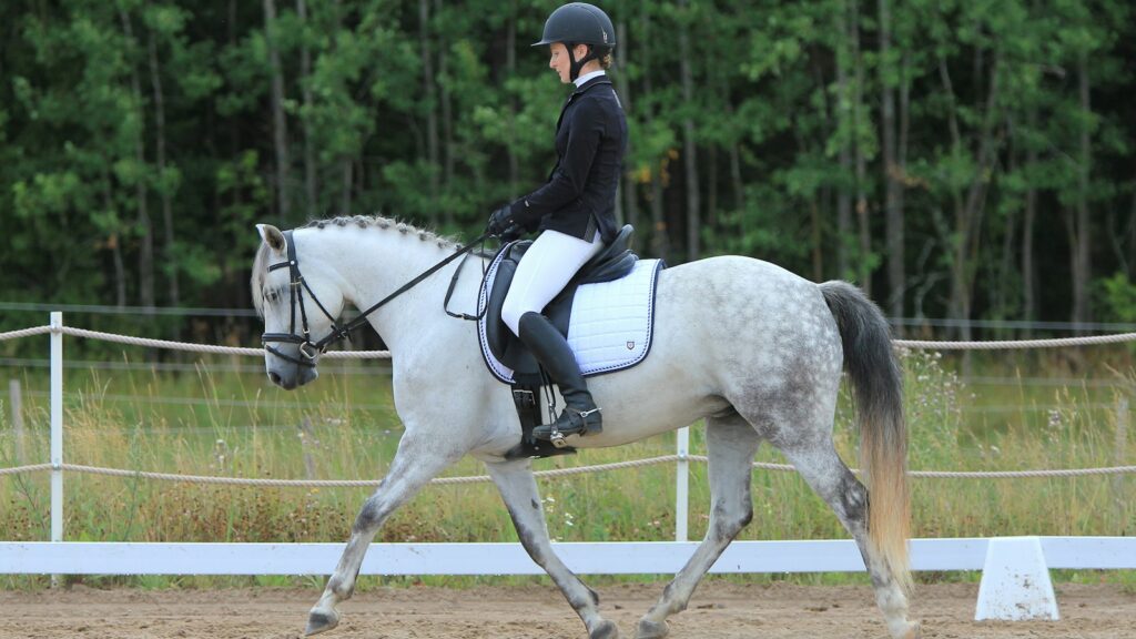 unknown person riding on white horse