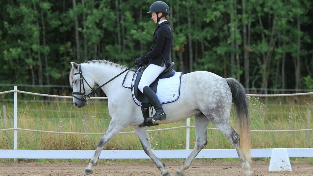 unknown person riding on white horse