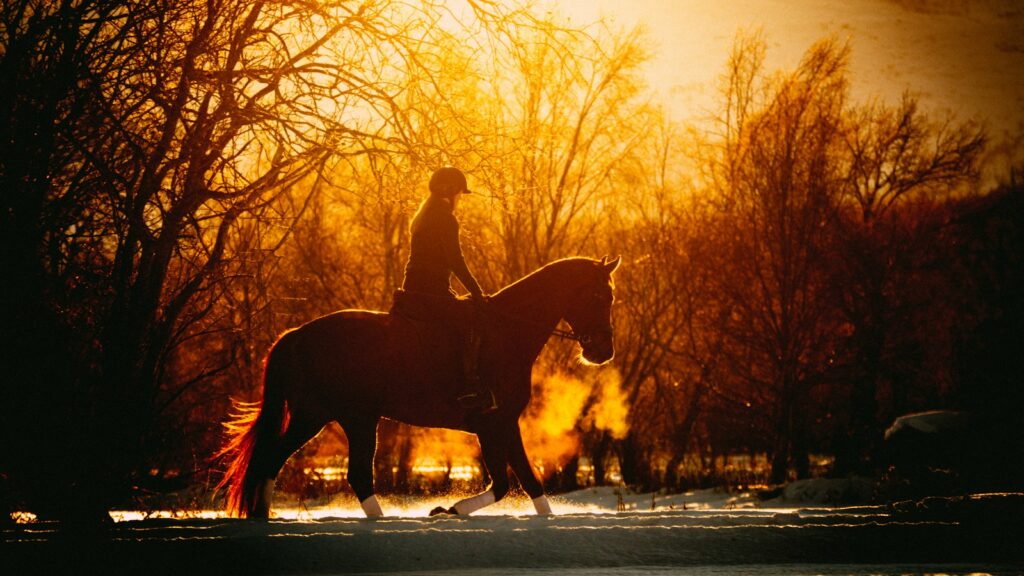person riding horse during golden hour