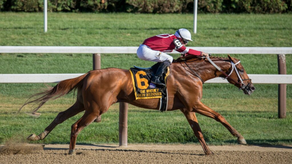 Jockey riding horse