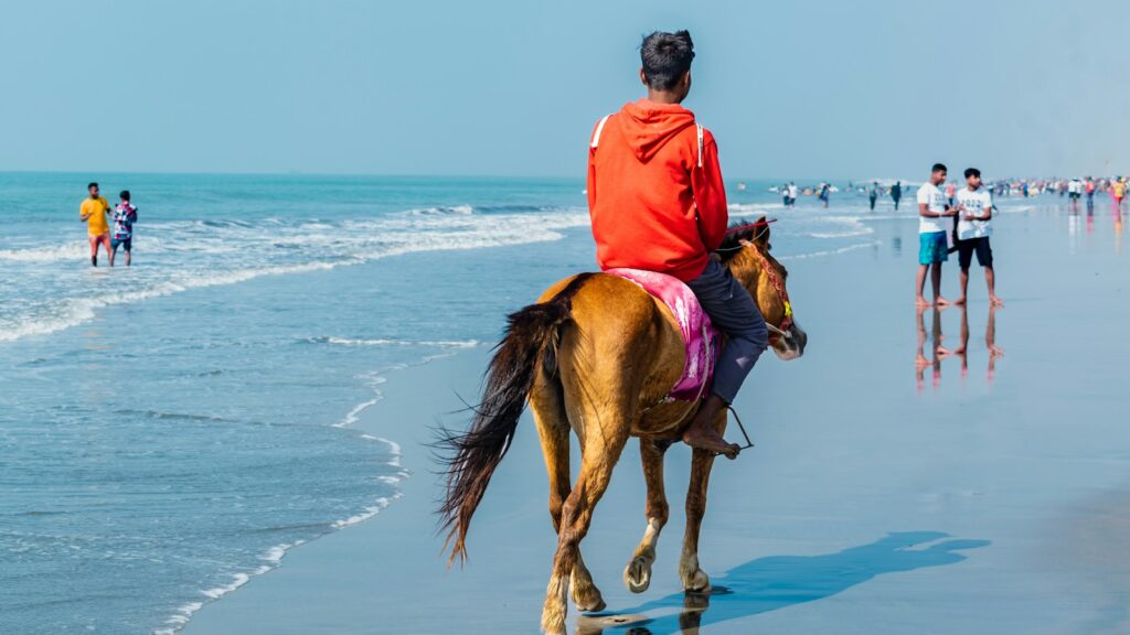 a person riding a horse on the beach