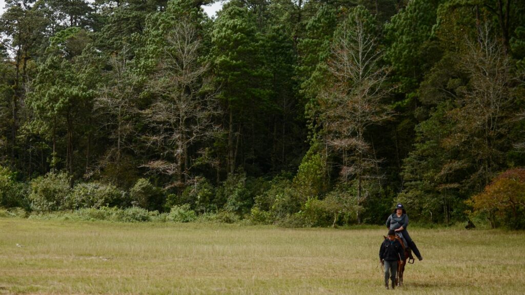 man in black jacket riding horse on green grass field during daytime