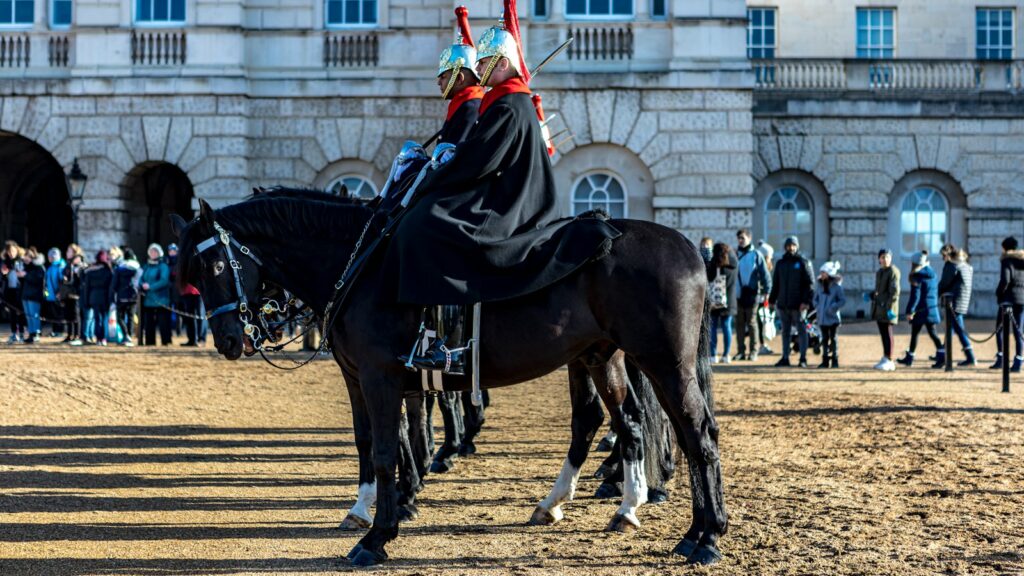 man in black and white coat riding black horse during daytime