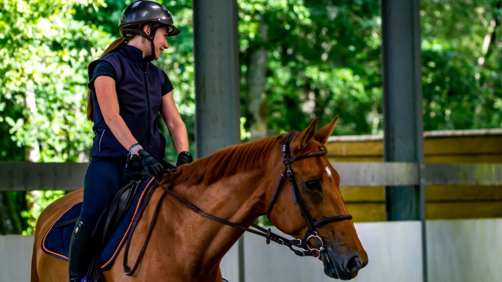 man in black helmet riding brown horse during daytime