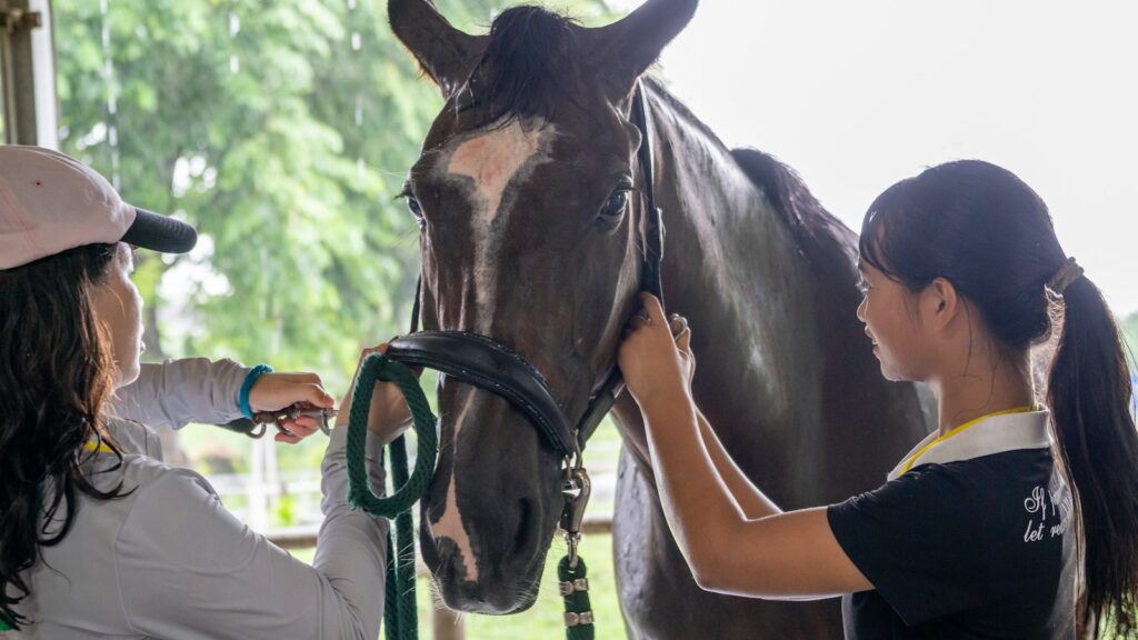 A woman standing next to a brown horse