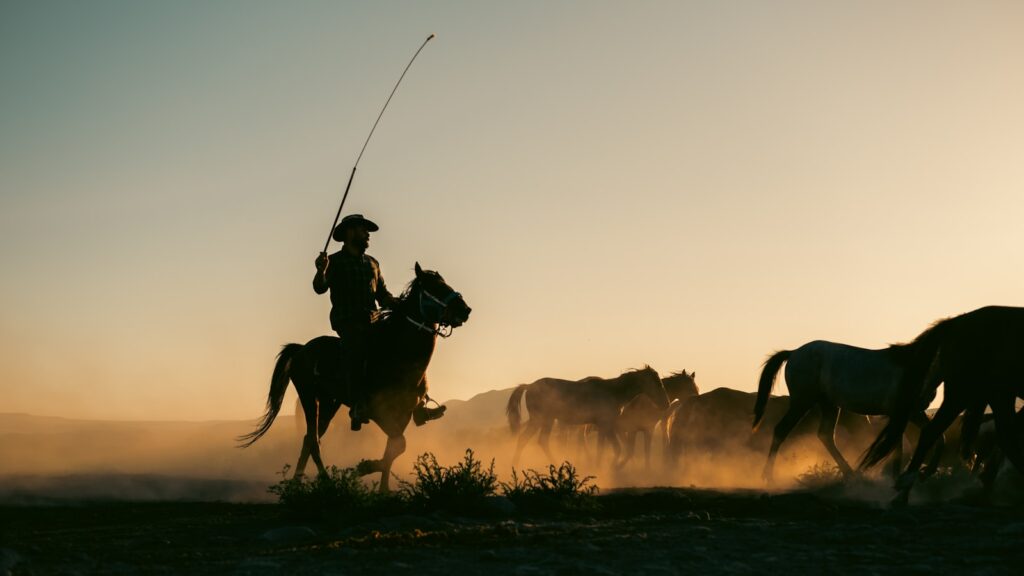 A man riding on the back of a horse next to a herd of horses
