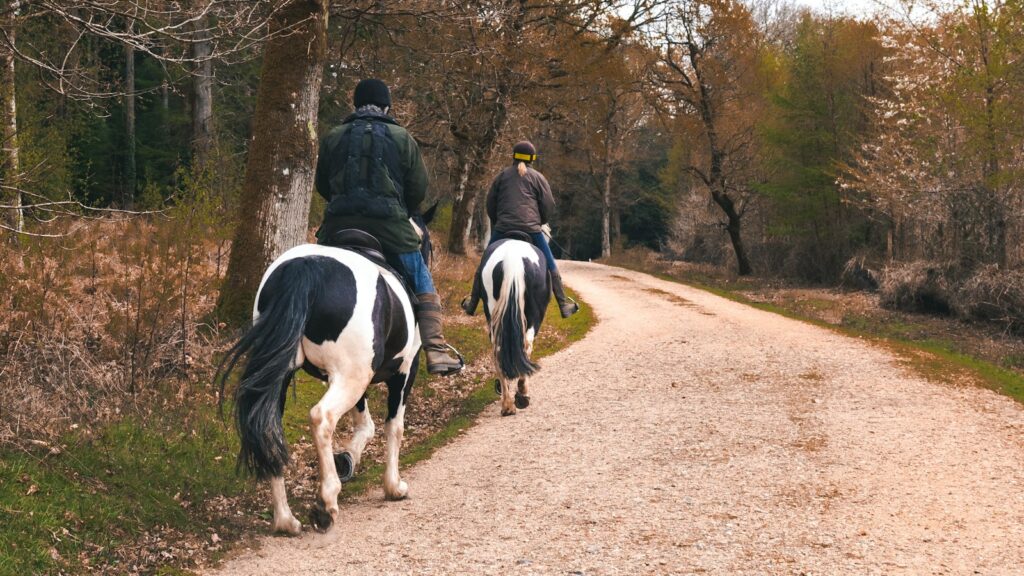 two people riding horses down a dirt road