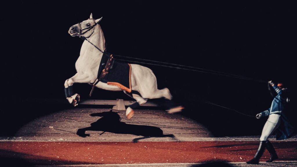 white horse on brown wooden floor