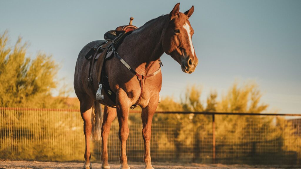 brown horse running on field during daytime