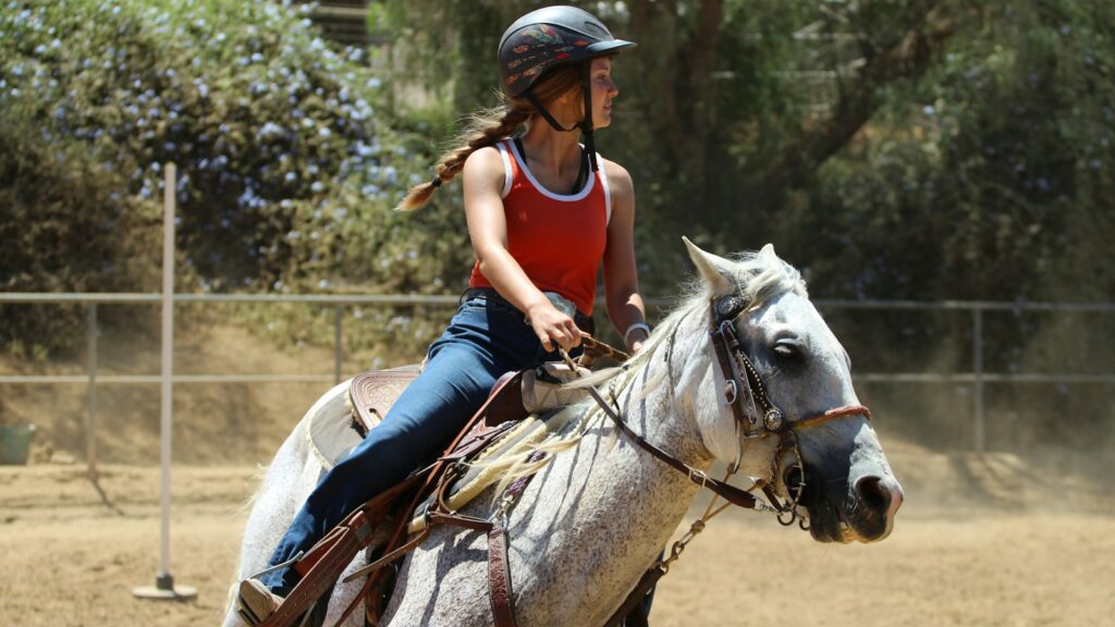 woman in blue long sleeve shirt riding white horse during daytime