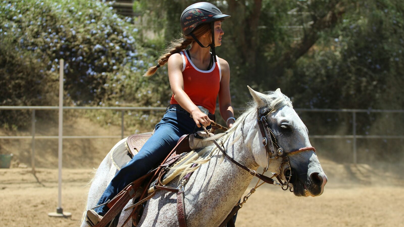 woman in blue long sleeve shirt riding white horse during daytime