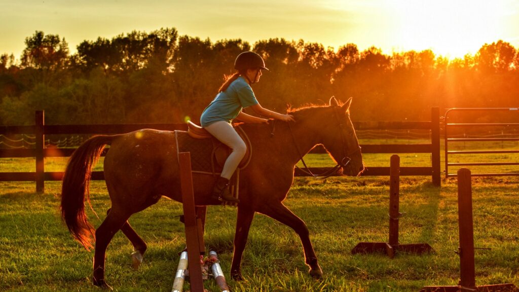 girl riding horse near ramps during sunset