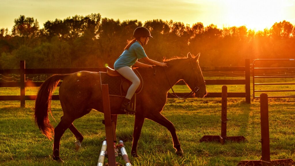 girl riding horse near ramps during sunset