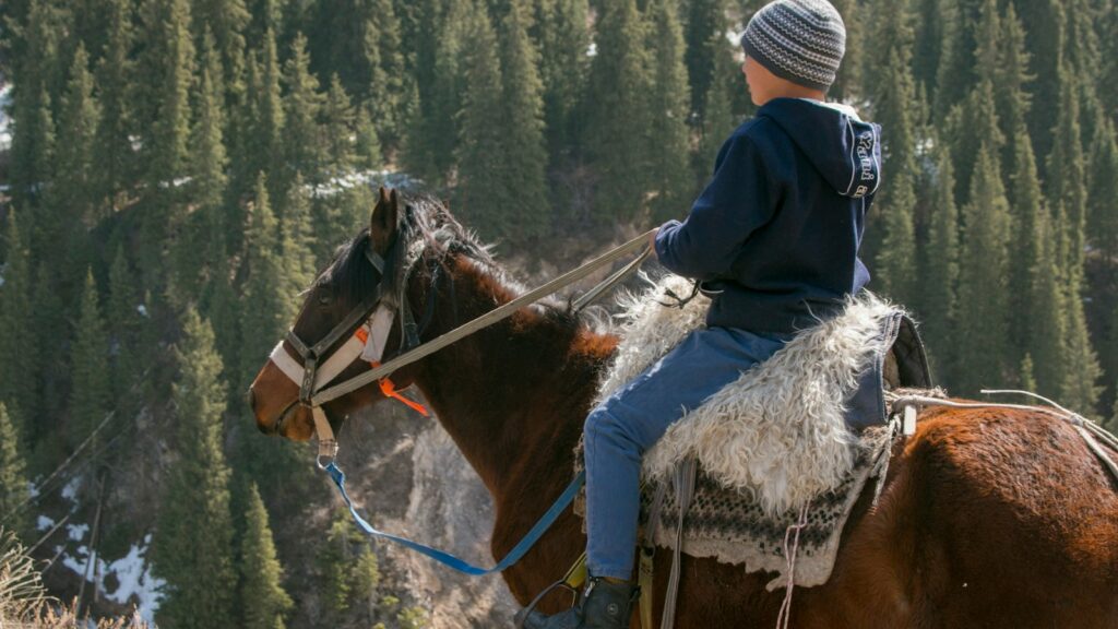 person riding brown horse