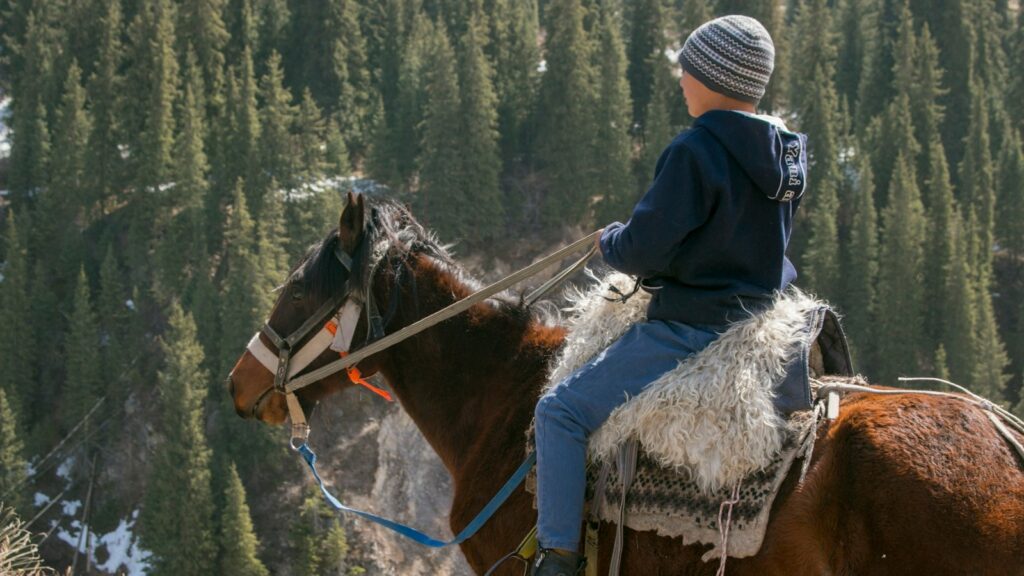 person riding brown horse