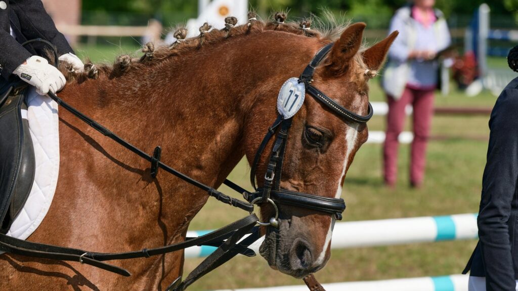 brown horse in close up photography during daytime