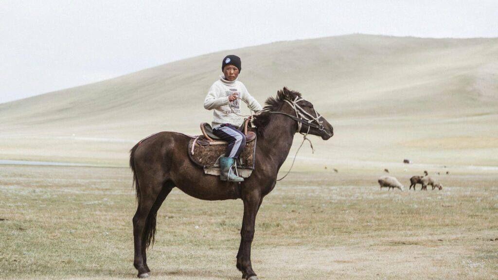 boy in white jacket riding on brown horse