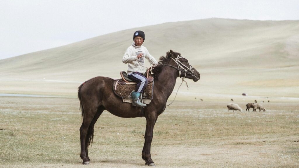 boy in white jacket riding on brown horse